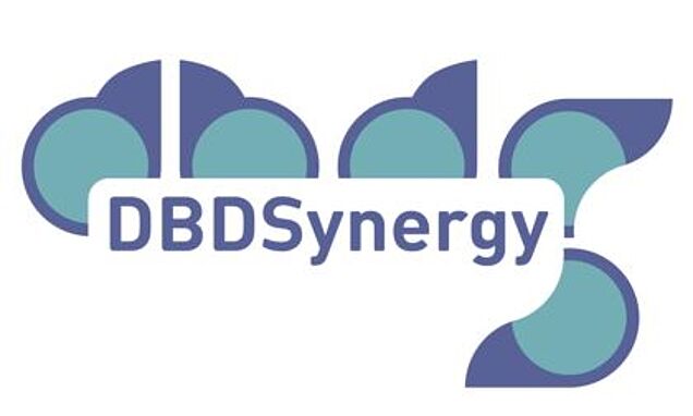 Logo DB Synergy